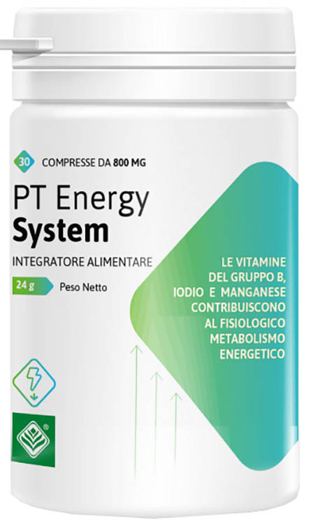 PT ENERGY SYSTEM 30 COMPRESSE - Fontenova srl