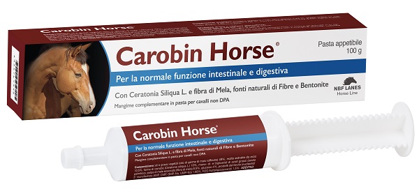 CAROBIN HORSE PASTA APPETIBILE SIRINGA 100 G - Fontenova srl