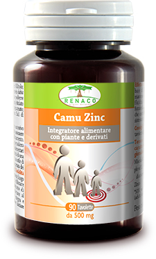 CAMU ZINC 90 COMPRESSE - Fontenova srl
