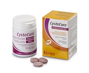 CYSTOCURE FORTE BARATTOLO 30 COMPRESSE - Fontenova srl