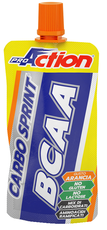 PROACTION CARBO SPRINT ENDURANCE BCAA ALL'ARANCIA 50 ML - Fontenova srl