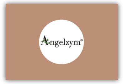 ANGELZYM 30 COMPRESSE MASTICABILI - Fontenova srl