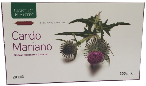 CARDO MARIANO 20 AMPOLLE BEVIBILI DA 15 ML - Fontenova srl