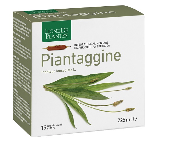 PIANTAGGINE 15 AMPOLLE BEVIBILI 15 ML - Fontenova srl