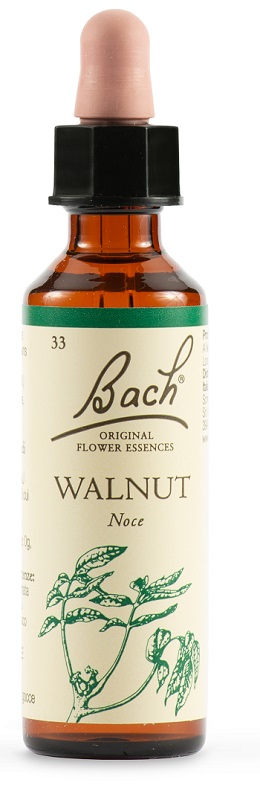 WALNUT BACH ORIG 20 ML - Fontenova srl