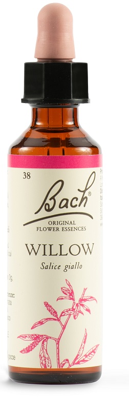 WILLOW BACH ORIG 20 ML - Fontenova srl