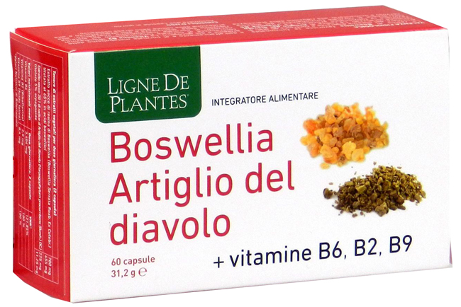 BOSWELLIA ARTIGLIO DIAVOLO VITAMINE B6 B2 60 CAPSULE DA 0,74 G - Fontenova srl