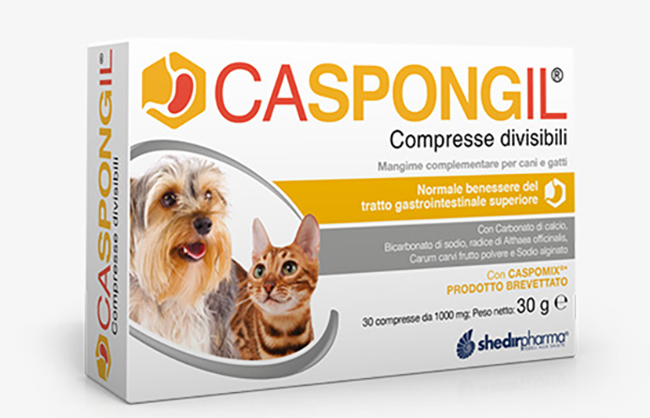 CASPONGIL 30 COMPRESSE DIVISIBILI - Fontenova srl
