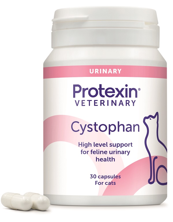 CYSTOPHAN 30 CAPSULE - Fontenova srl