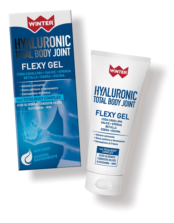 WINTER HYALURONIC TOTAL BODY JOINT FLEX GEL 75 ML - Fontenova srl