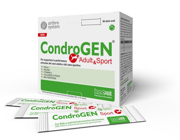 CONDROGEN ADULT&SPORT 60 STICK - Fontenova srl