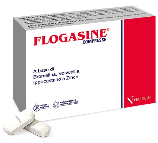 FLOGASINE 20 COMPRESSE - Fontenova srl