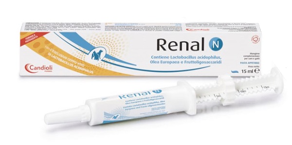 RENAL N PASTA SIRINGA DOSATRICE 15 ML - Fontenova srl