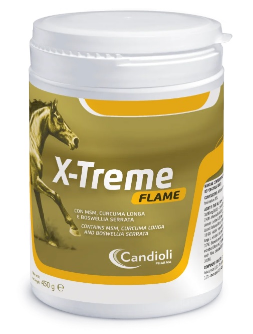 X-TREME FLAME POLVERE BARATTOLO 450 G - Fontenova srl
