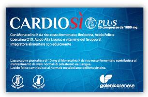 CARDIOSI' PLUS 20 COMPRESSE - Fontenova srl