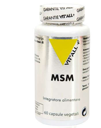 MSM 60 CAPSULE - Fontenova srl