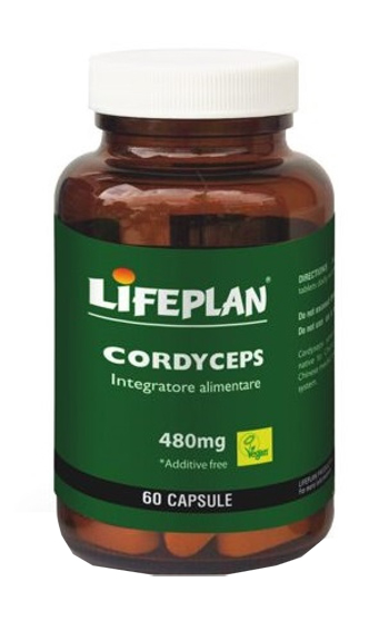 CORDYCEPS 60 CAPSULE - Fontenova srl