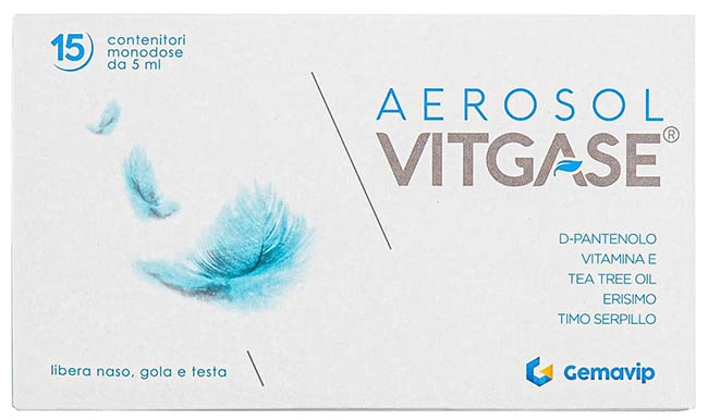 VITGASE AEROSOL 15 FLACONCINI 5 ML - Fontenova srl