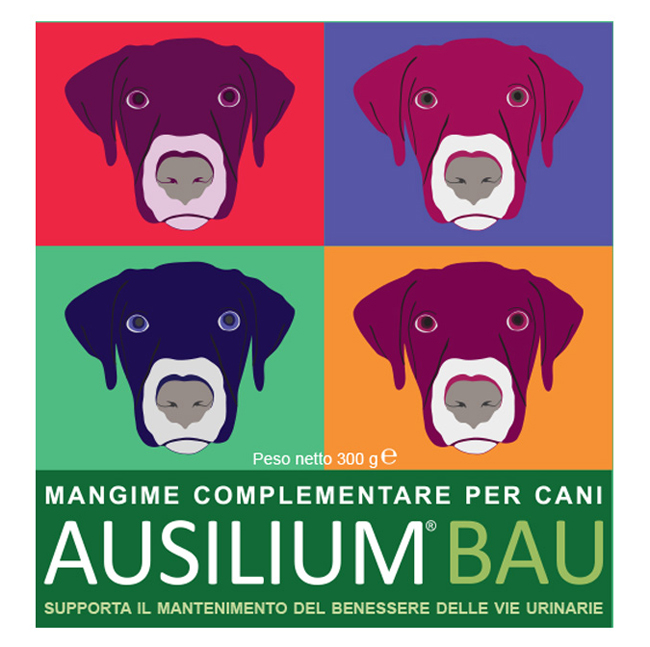AUSILIUM BAU 300 G CON MISURINO - Fontenova srl