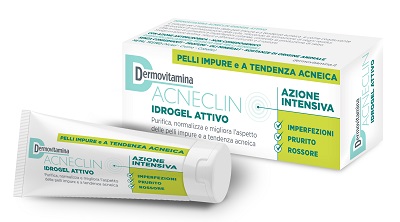 DERMOVITAMINA ACNECLIN IDROGEL ATTIVO AZIONE INTENSIVA 40 ML - Fontenova srl