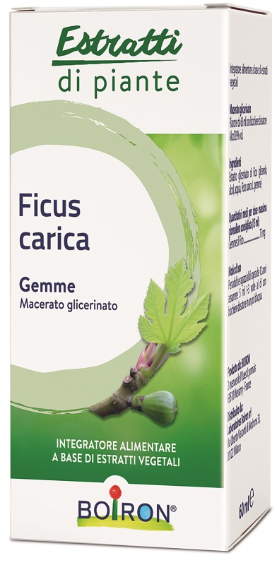 FICUS CARICA BOIRON MACERATO GLICERICO 60 ML - Fontenova srl