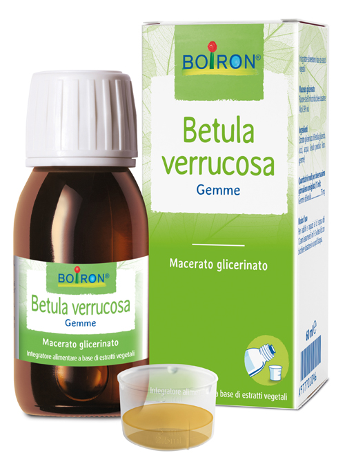 BETULA VERRUCO BOIRON MACERATO GLICERICO 60 ML - Fontenova srl