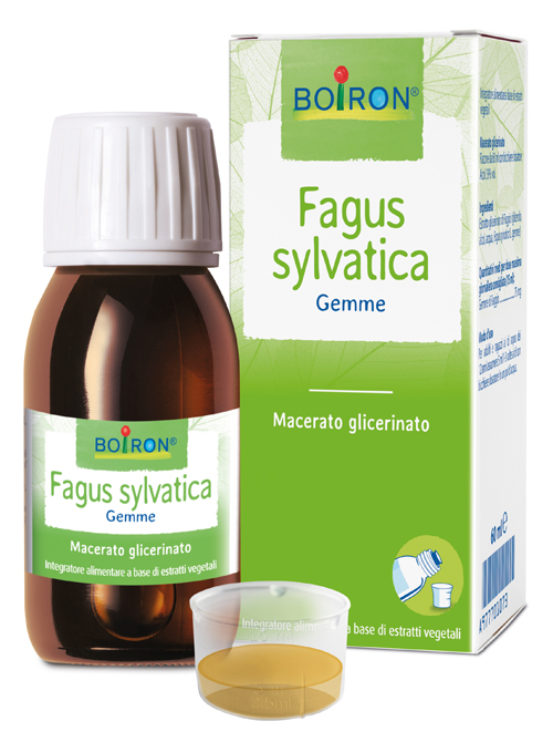 FAGUS SYLVATICA BOIRON MACERATO GLICERICO 60 ML - Fontenova srl