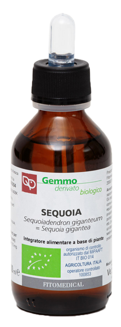 SEQUOIA MACERATO GLICERICO 100 ML BIO - Fontenova srl