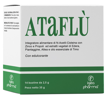ATAFLU' 14 BUSTINE - Fontenova srl