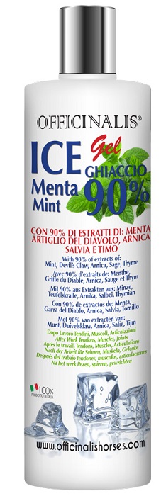 ICE GEL 90% 250 ML - Fontenova srl