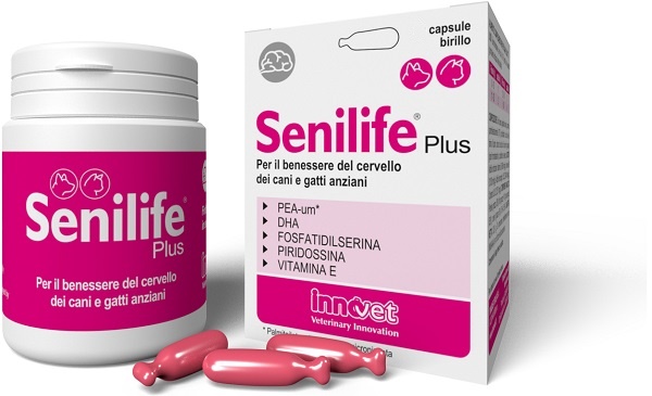 SENILIFE PLUS 60 CAPSULE - Fontenova srl