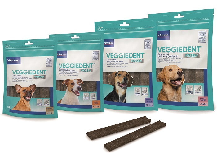 VEGGIEDENT FR3SH S 15 STICK - Fontenova srl