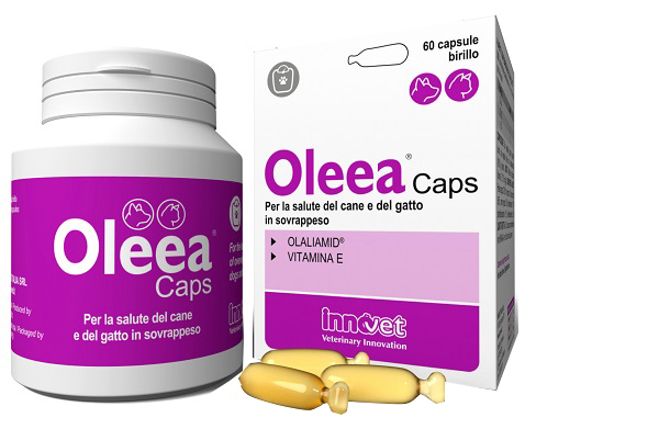 OLEEA CAPS 60 CAPSULE - Fontenova srl