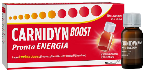 CARNIDYN BOOST 10 FLACONCINI - Fontenova srl
