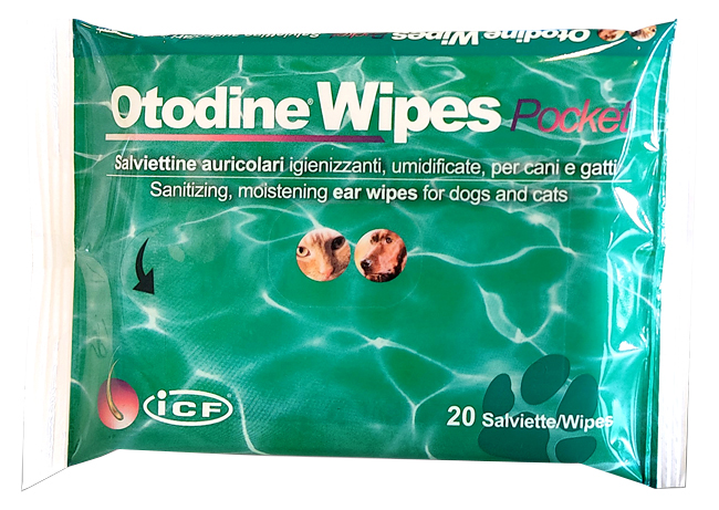 OTODINE WIPES POCKET 20 PEZZI - Fontenova srl