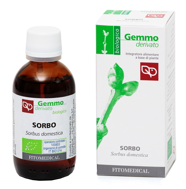 SORBO MACERATO GLICERICO 50 ML BIO - Fontenova srl