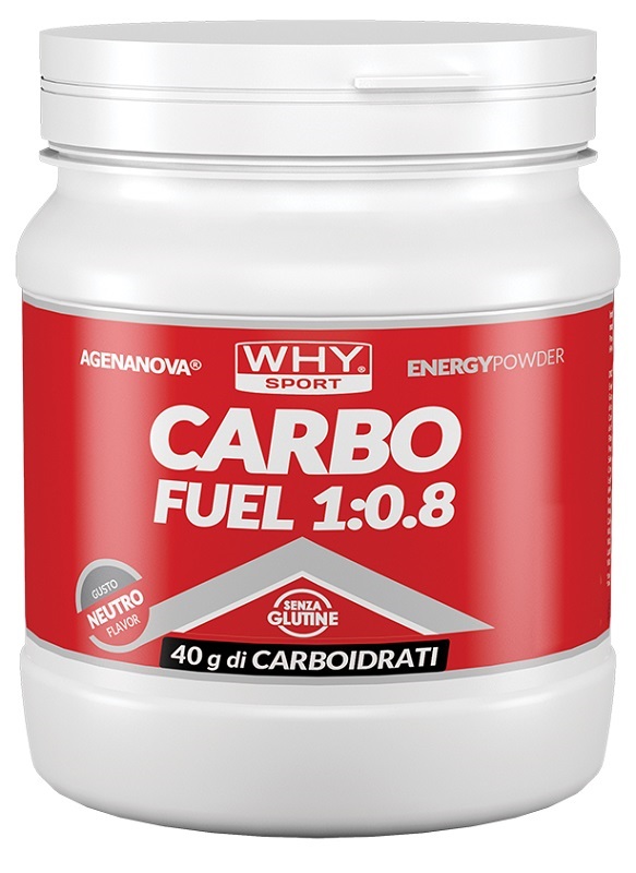 WHYSPORT CARBO FUEL 1:0,8 POLVERE NEUTRO 615 G - Fontenova srl