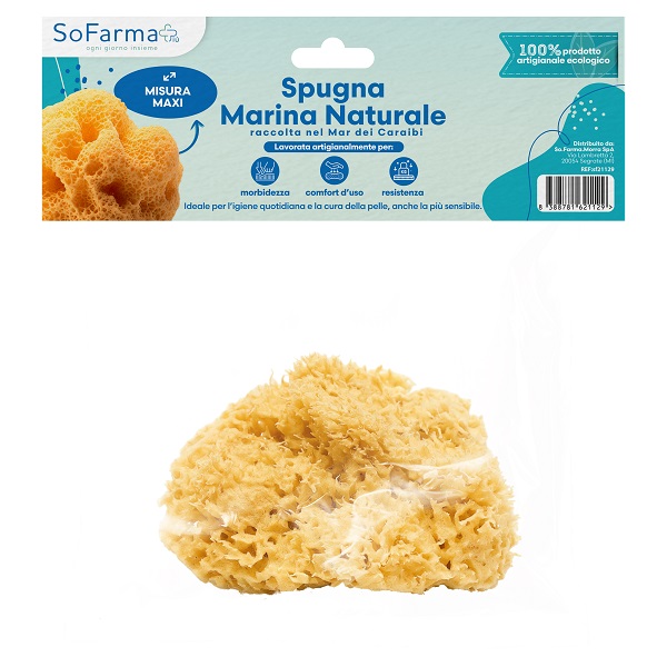 SPUGNA MARINA NATURALE MAXI SOFARMAPIU' - Fontenova srl